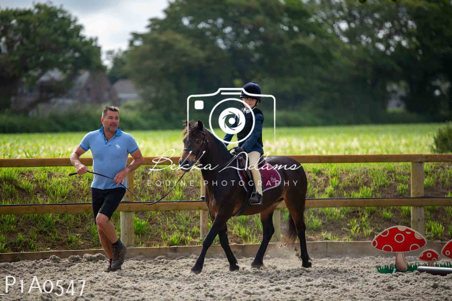 Home Farm Jumping 11th June - Juniors
