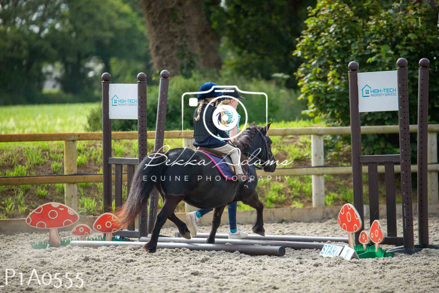Home Farm Jumping 11th June - Juniors