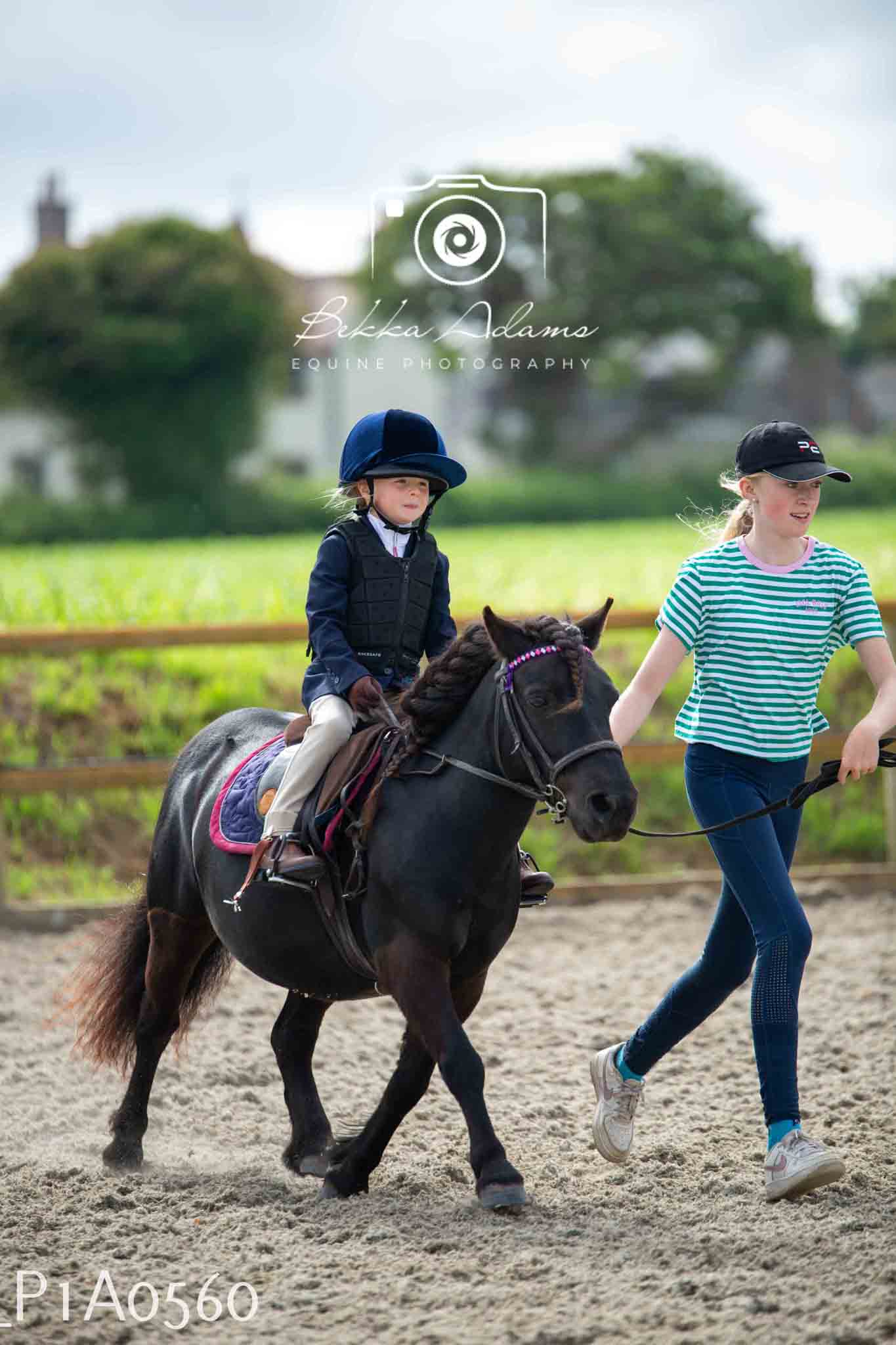 Home Farm Jumping 11th June - Juniors