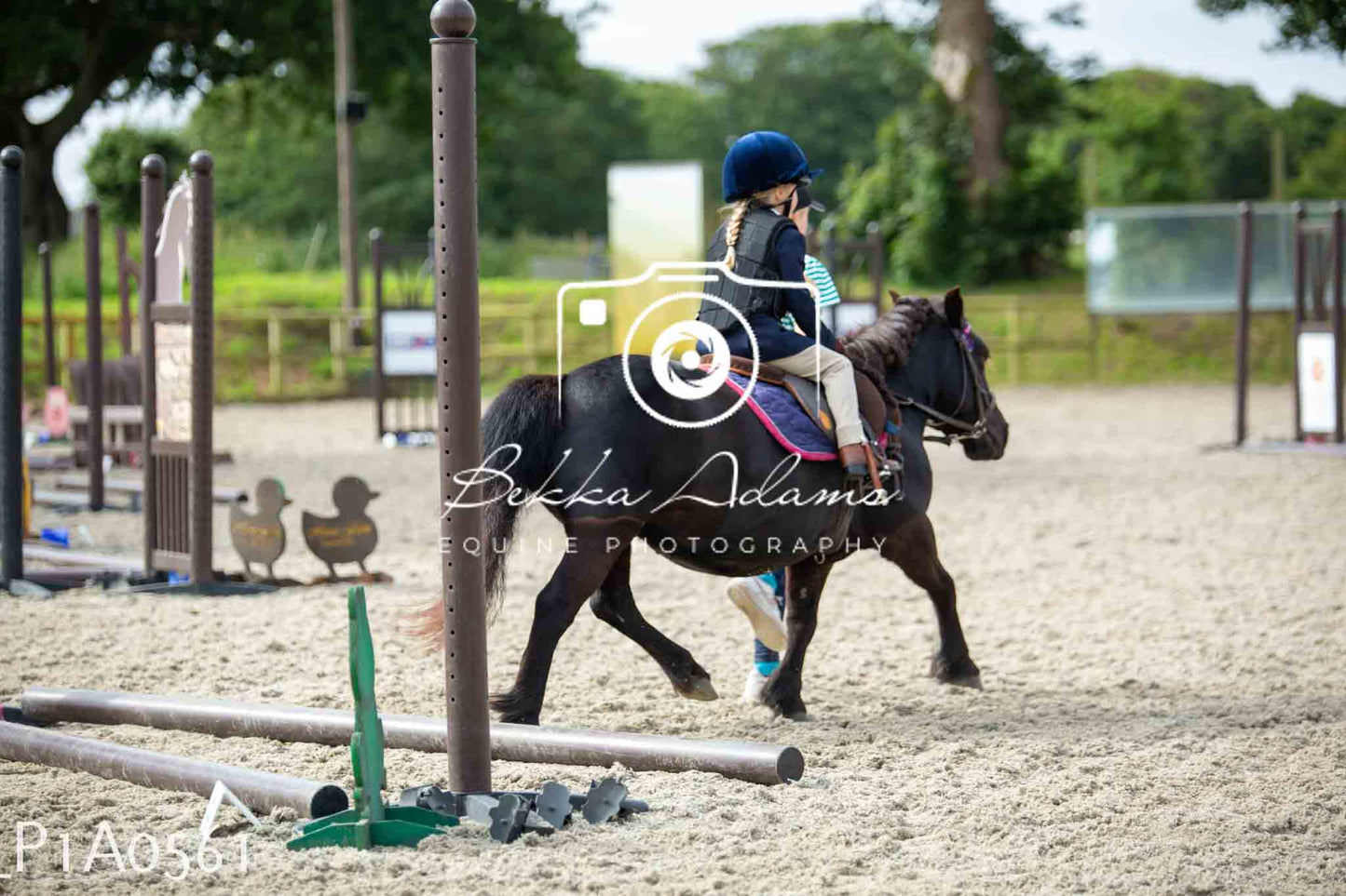 Home Farm Jumping 11th June - Juniors