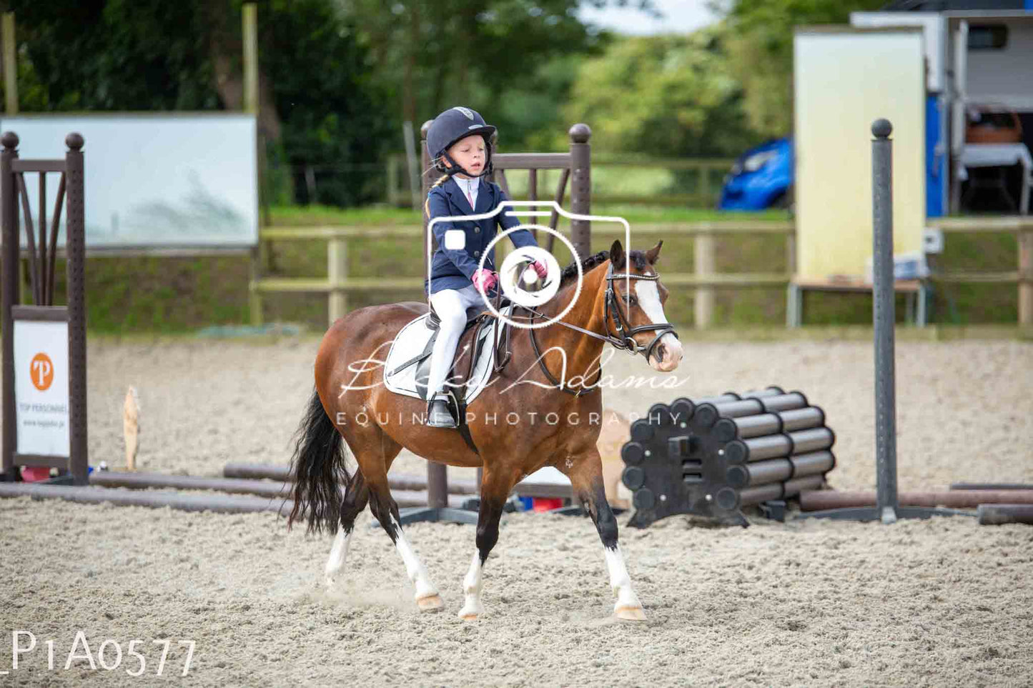 Home Farm Jumping 11th June - Juniors