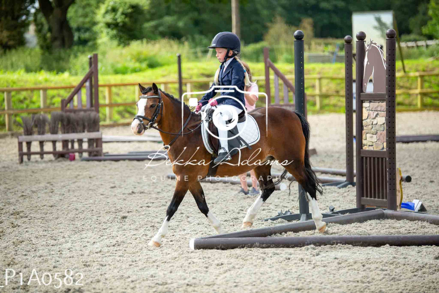 Home Farm Jumping 11th June - Juniors