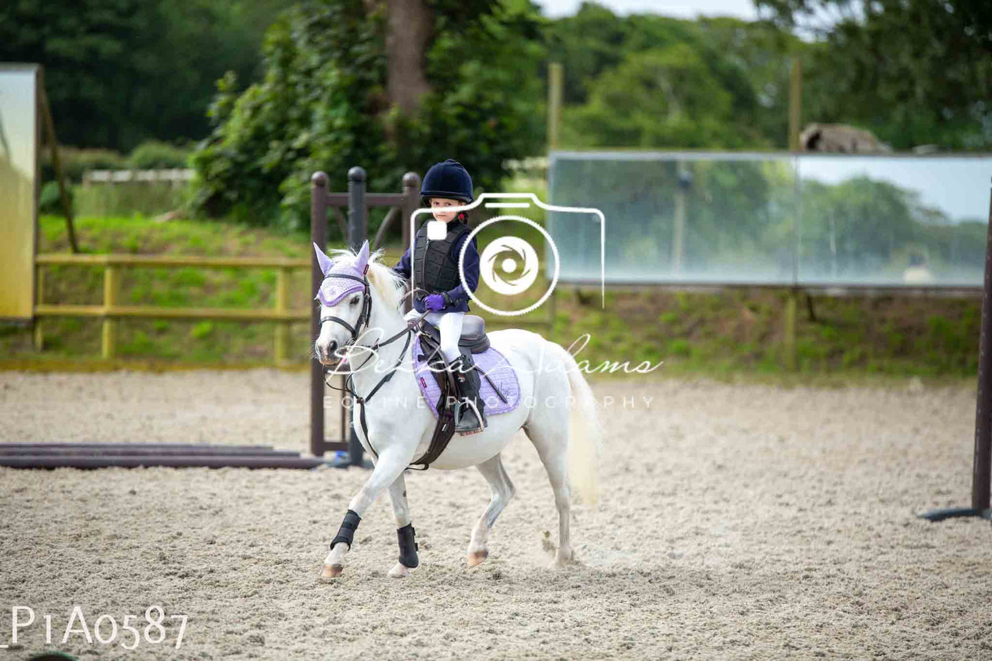 Home Farm Jumping 11th June - Juniors