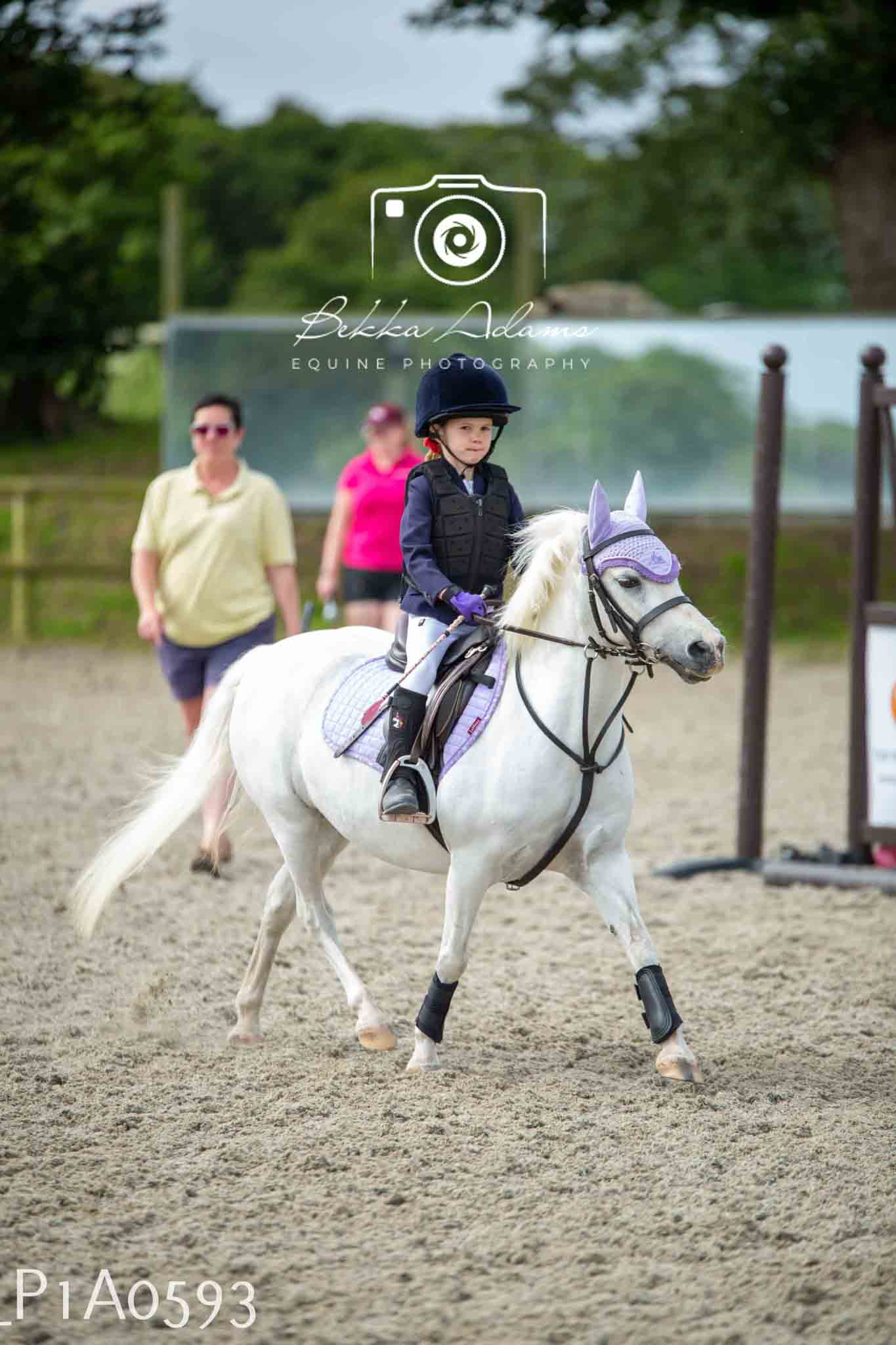 Home Farm Jumping 11th June - Juniors