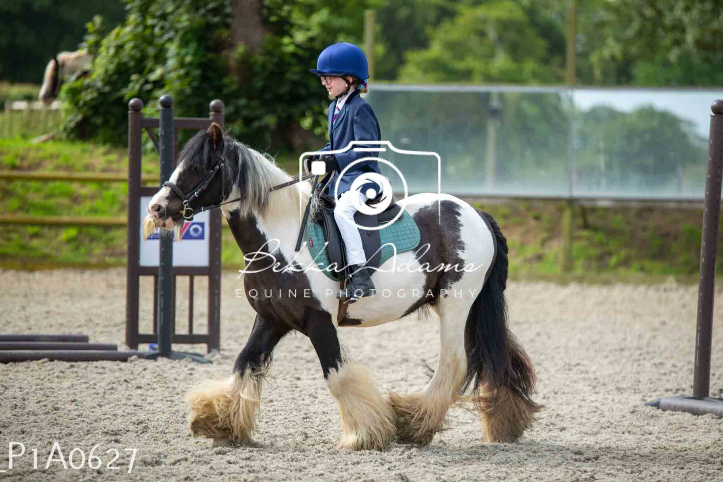 Home Farm Jumping 11th June - Juniors