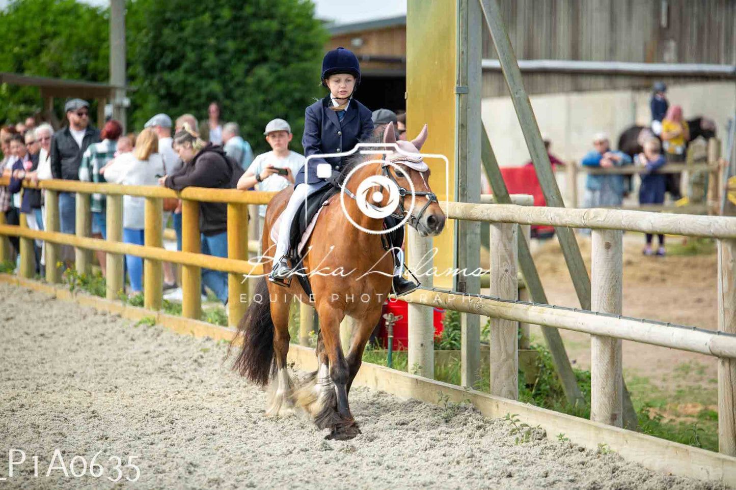 Home Farm Jumping 11th June - Juniors