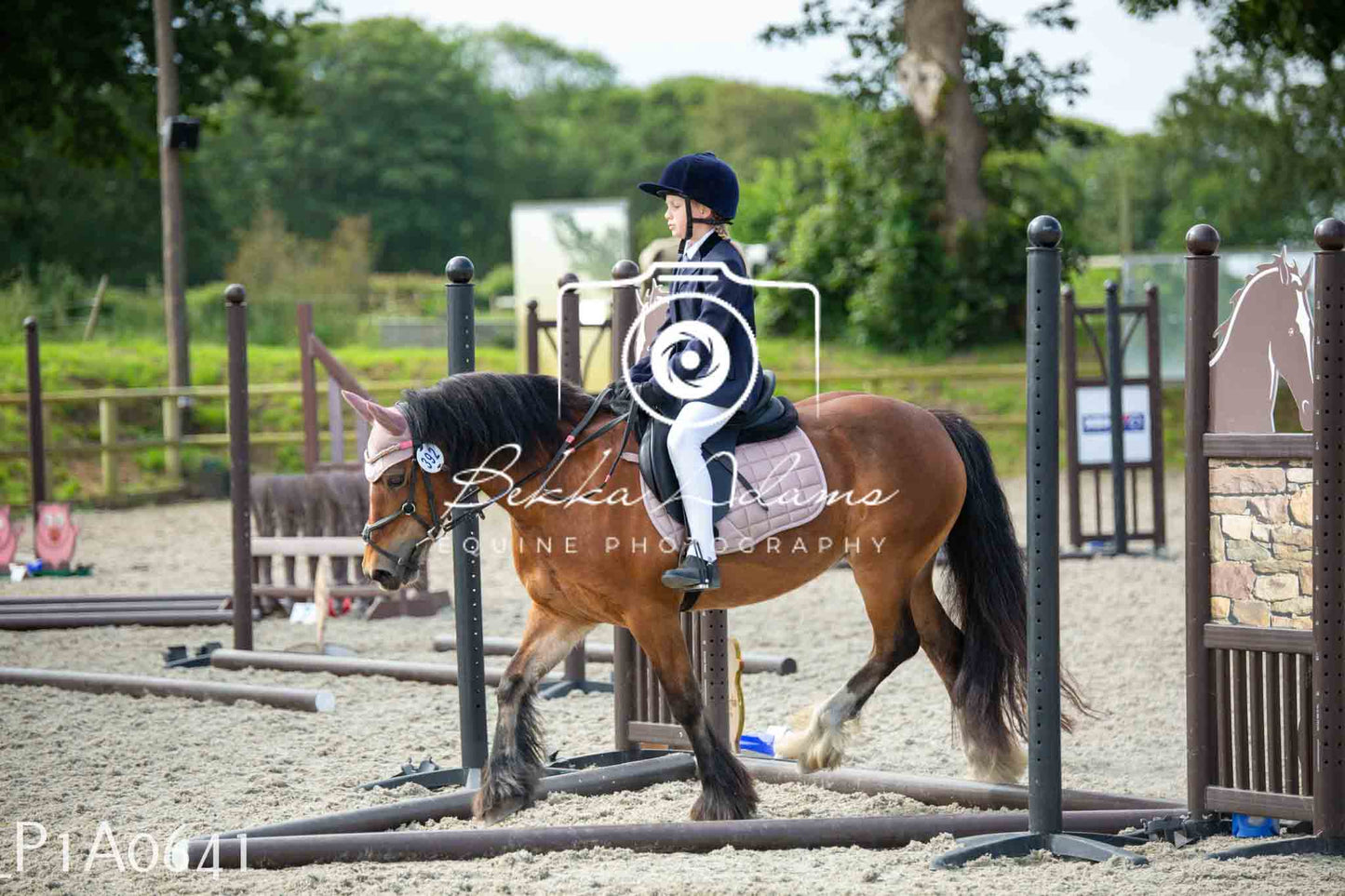 Home Farm Jumping 11th June - Juniors