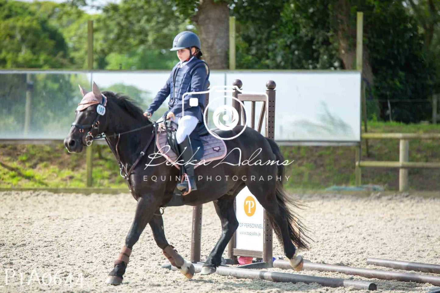 Home Farm Jumping 11th June - Juniors