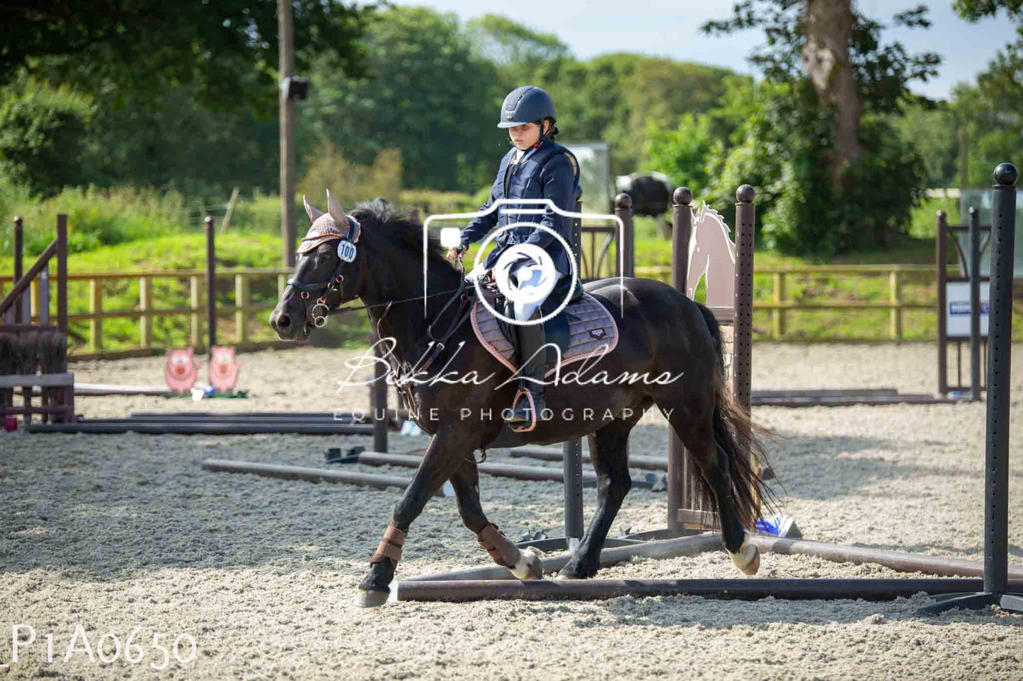 Home Farm Jumping 11th June - Juniors