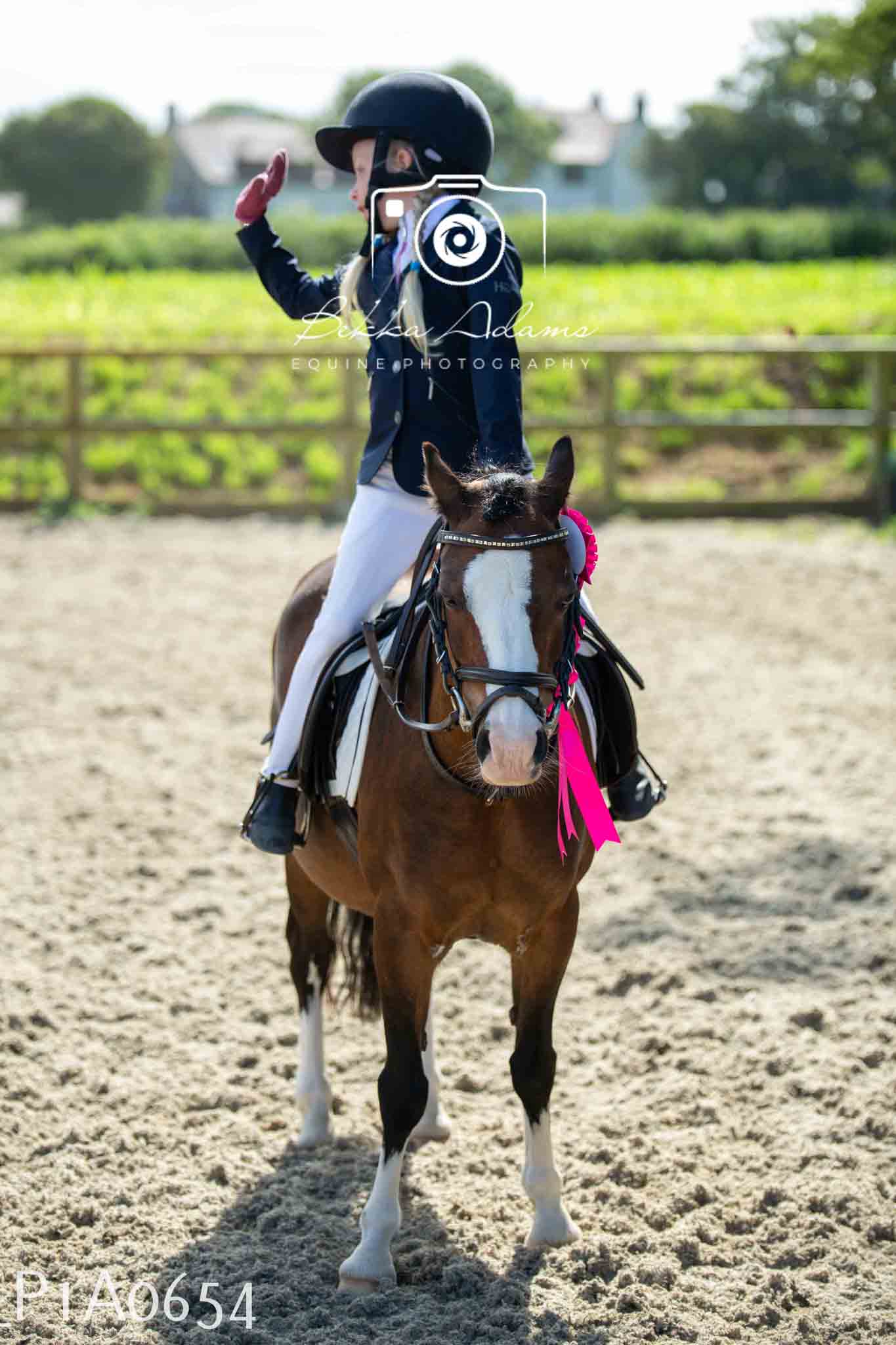 Home Farm Jumping 11th June - Juniors