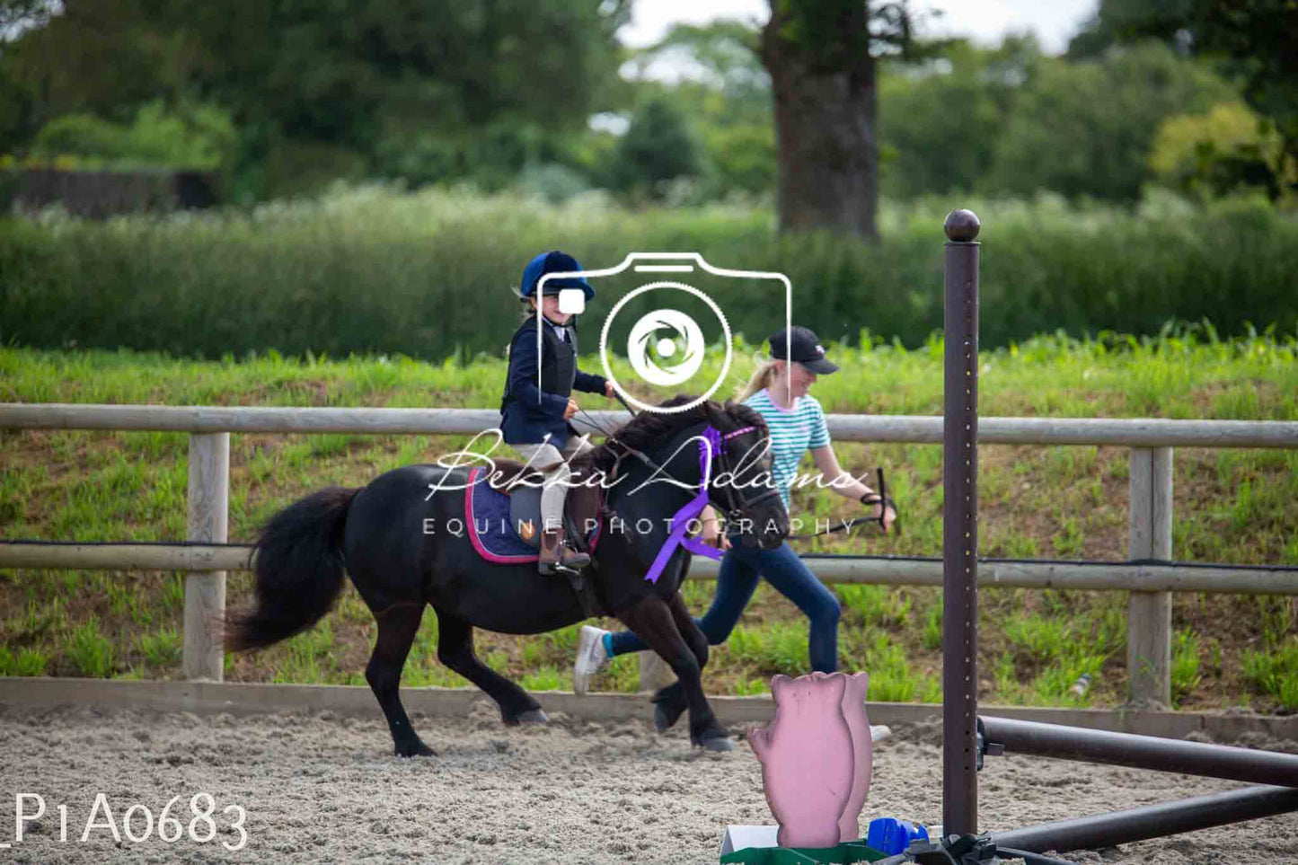Home Farm Jumping 11th June - Juniors