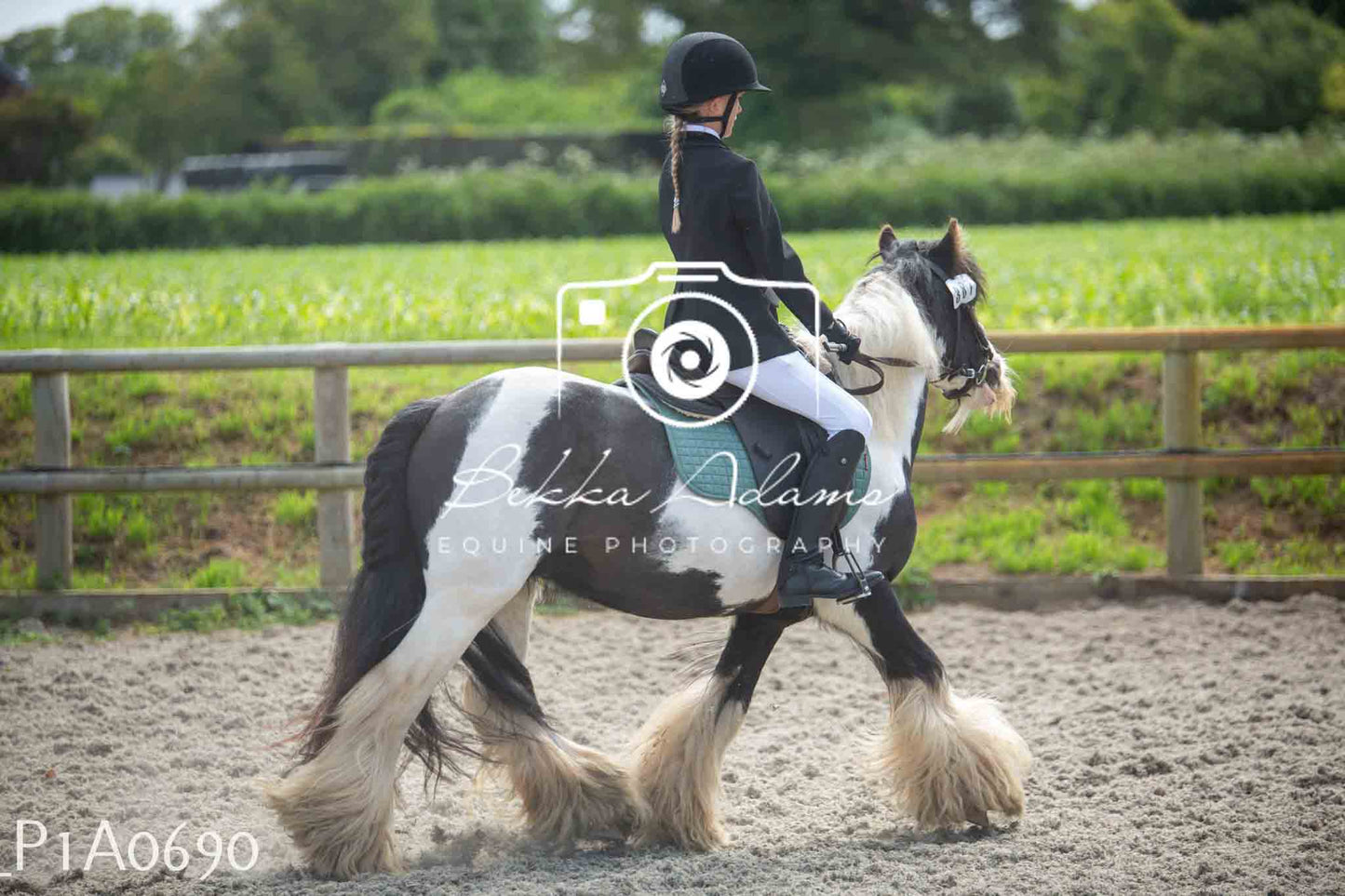 Home Farm Jumping 11th June - Juniors