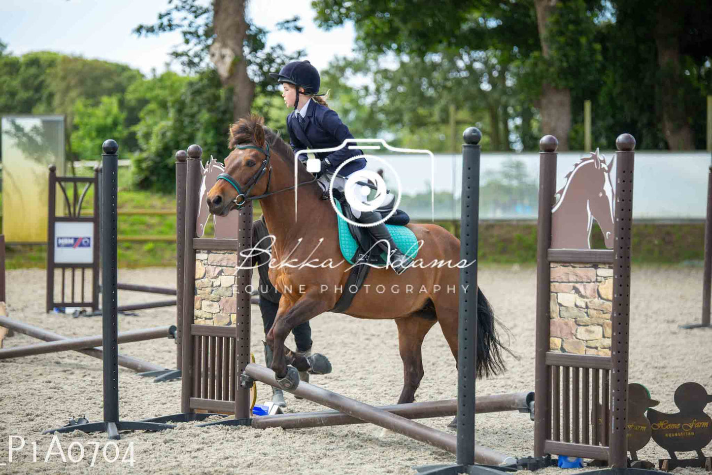 Home Farm Jumping 11th June - Juniors