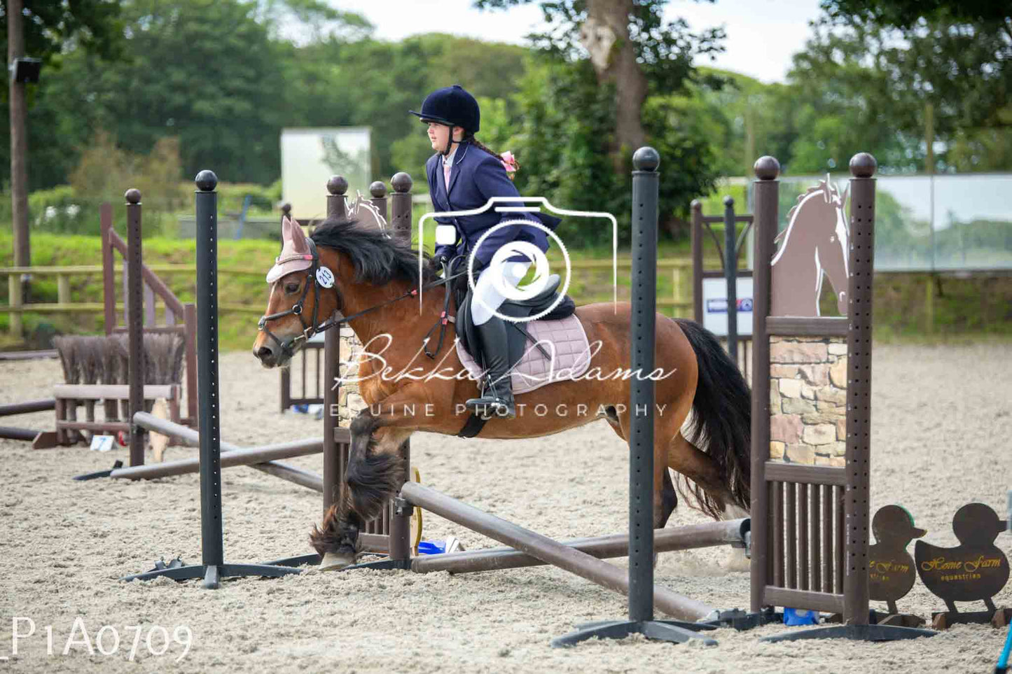 Home Farm Jumping 11th June - Juniors