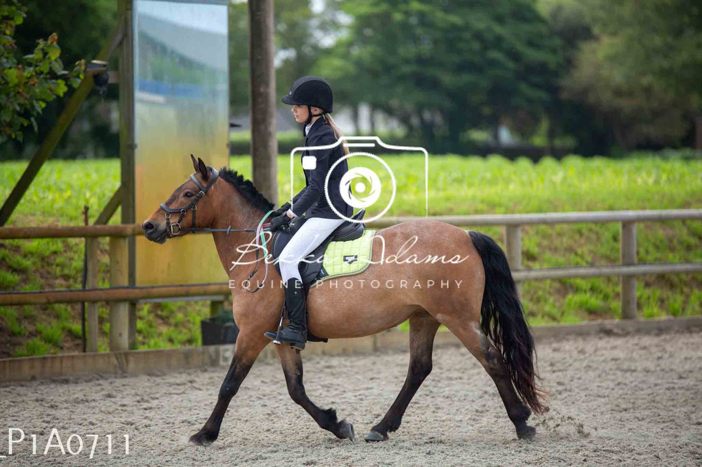 Home Farm Jumping 11th June - Juniors