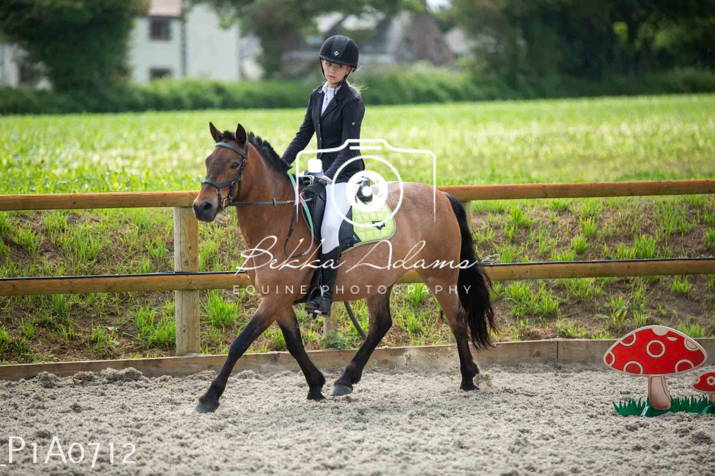 Home Farm Jumping 11th June - Juniors