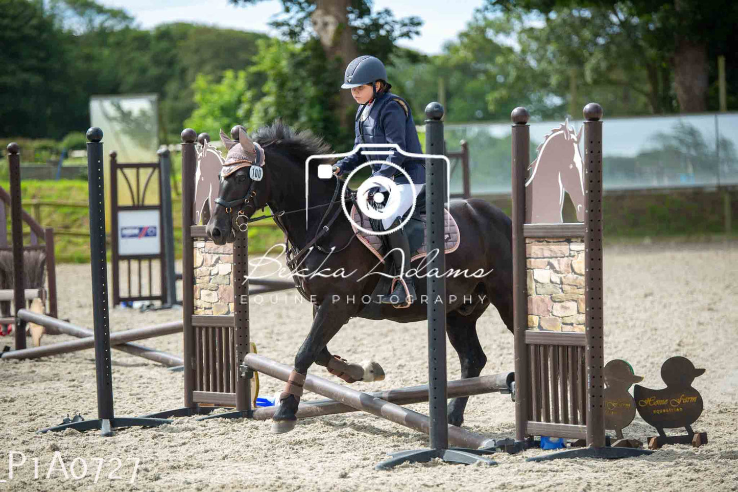 Home Farm Jumping 11th June - Juniors