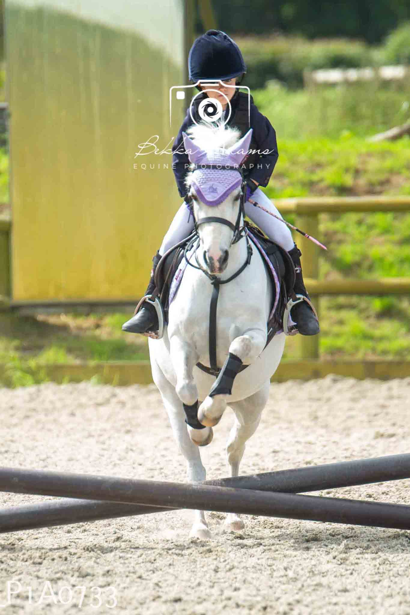 Home Farm Jumping 11th June - Juniors