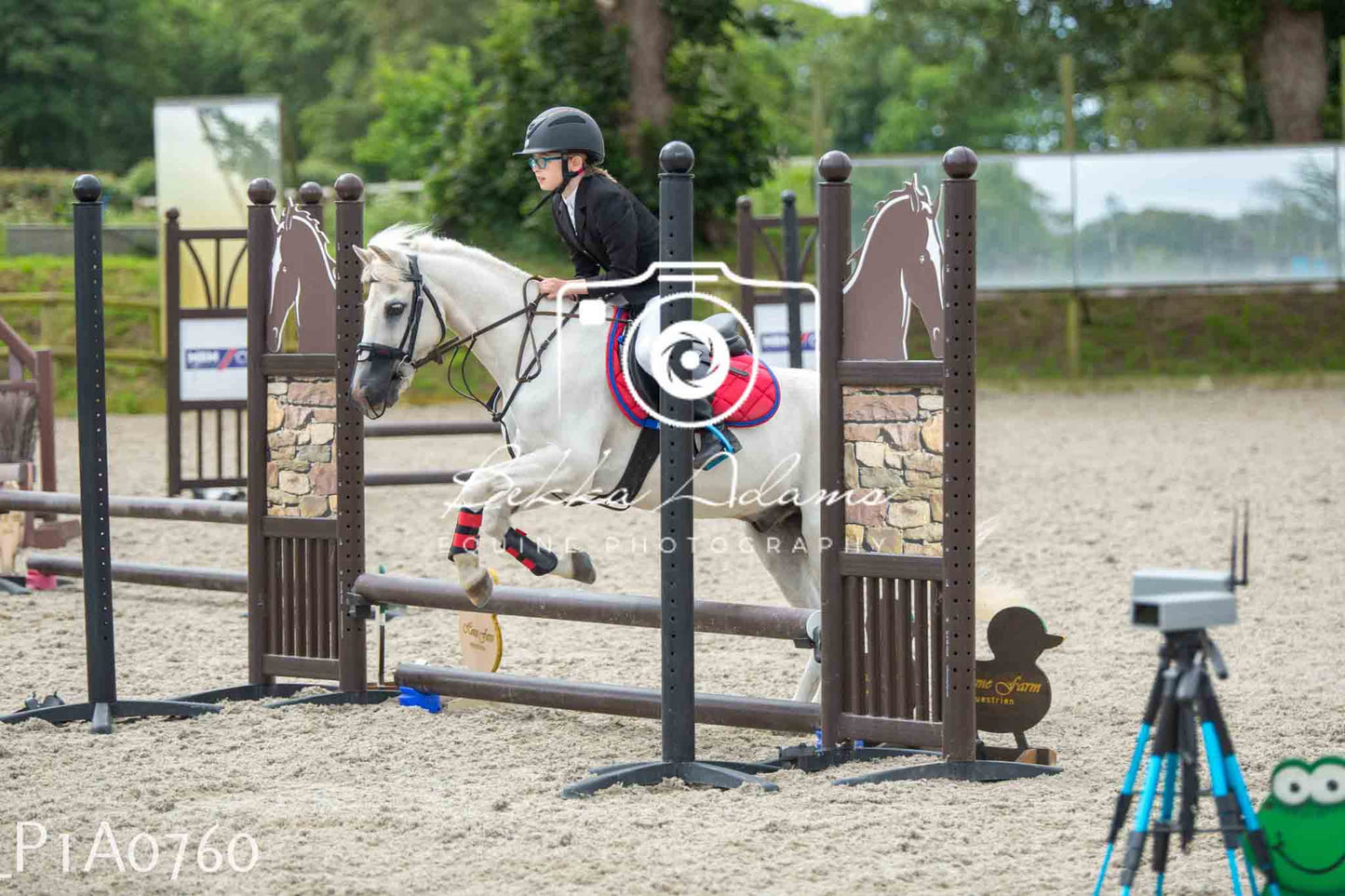 Home Farm Jumping 11th June - Juniors