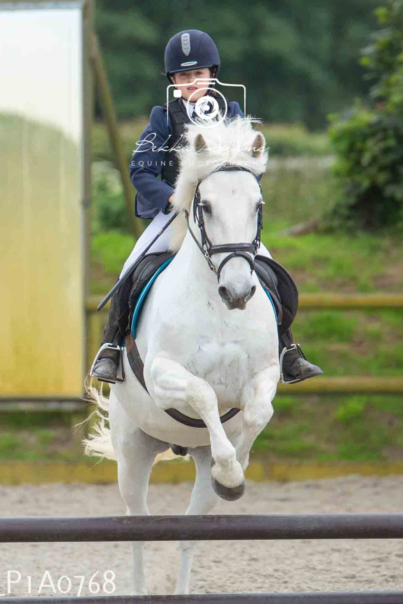 Home Farm Jumping 11th June - Juniors