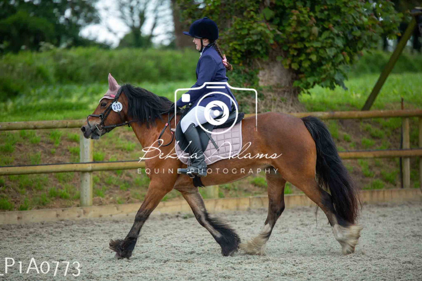 Home Farm Jumping 11th June - Juniors