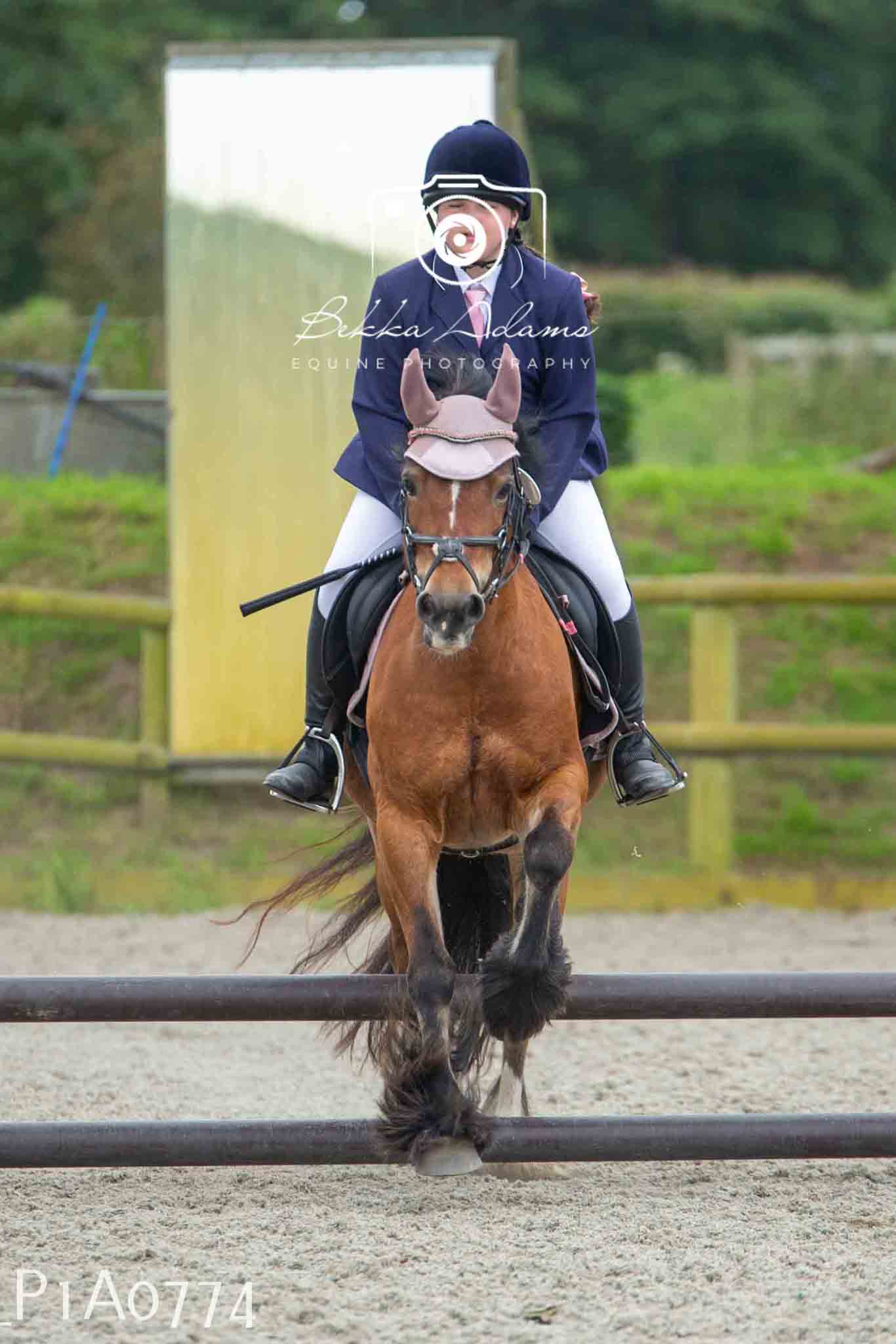 Home Farm Jumping 11th June - Juniors
