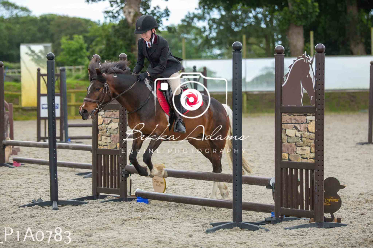 Home Farm Jumping 11th June - Juniors