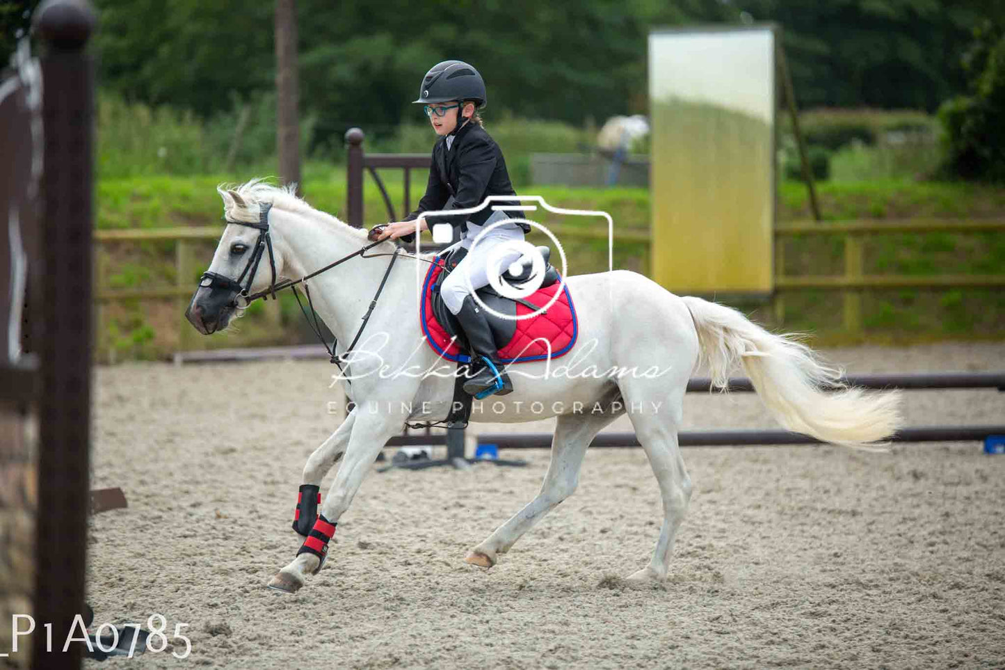 Home Farm Jumping 11th June - Juniors