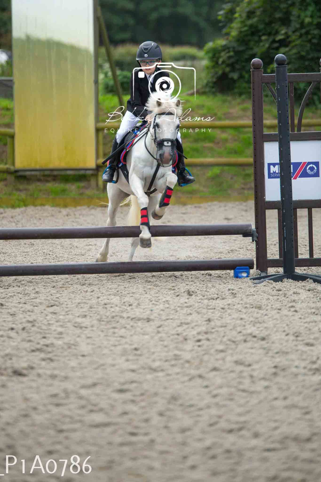 Home Farm Jumping 11th June - Juniors