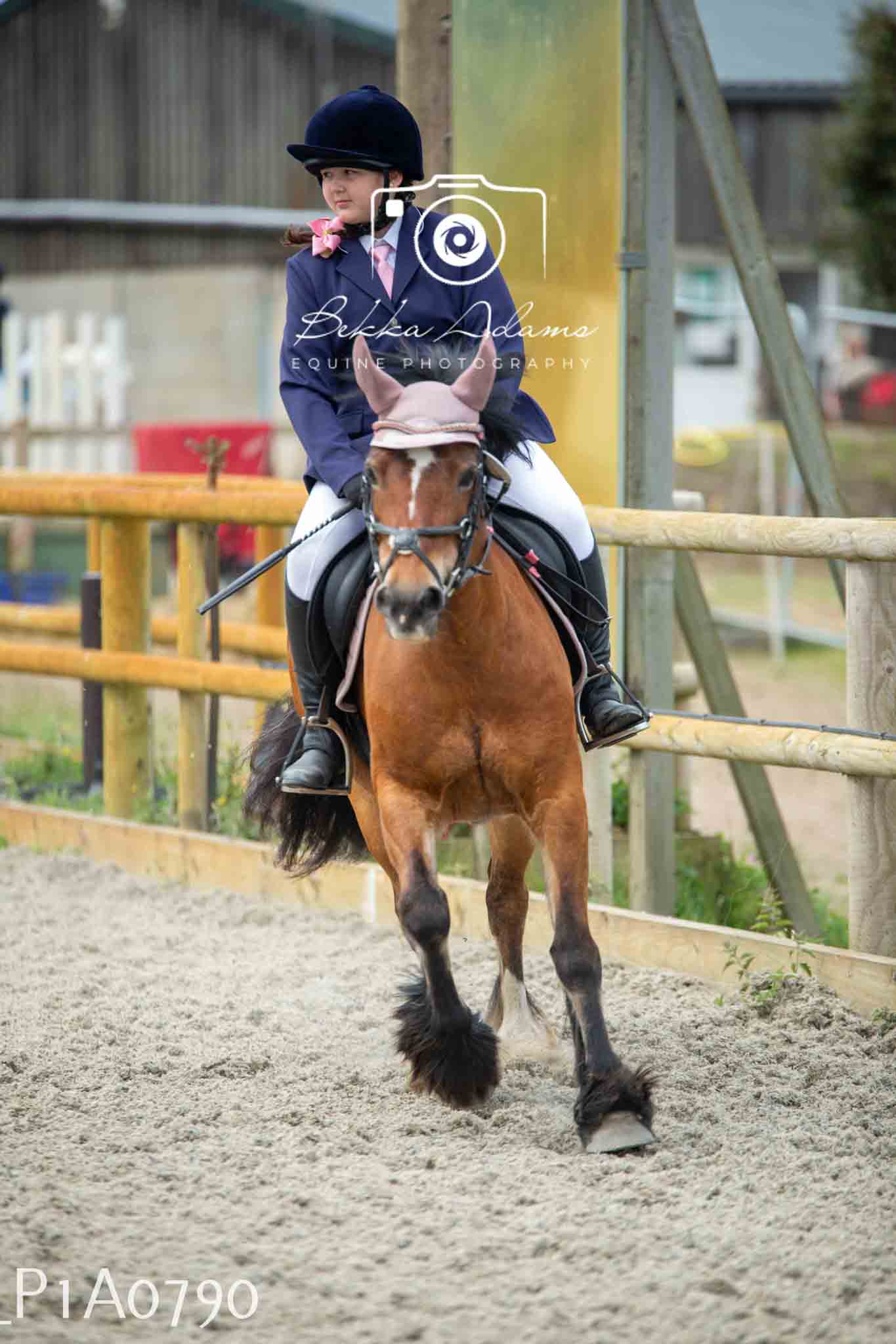 Home Farm Jumping 11th June - Juniors