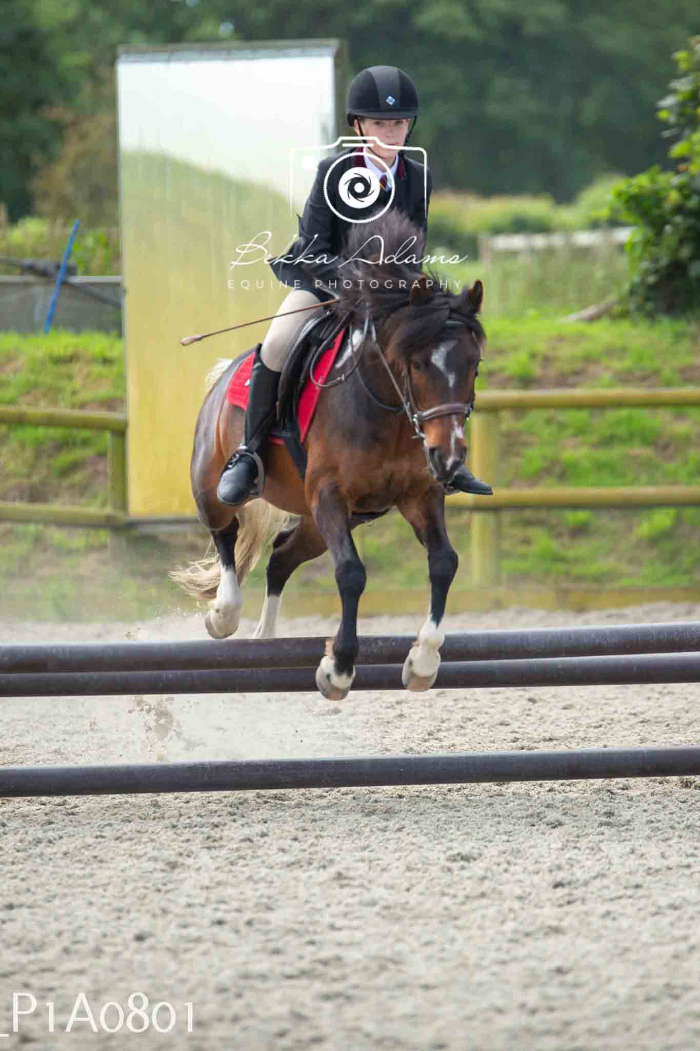 Home Farm Jumping 11th June - Juniors