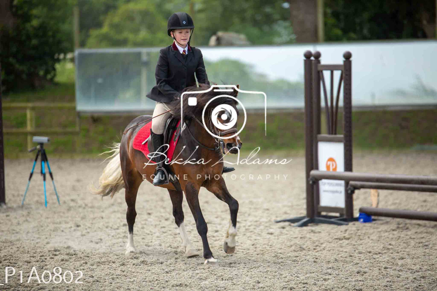 Home Farm Jumping 11th June - Juniors