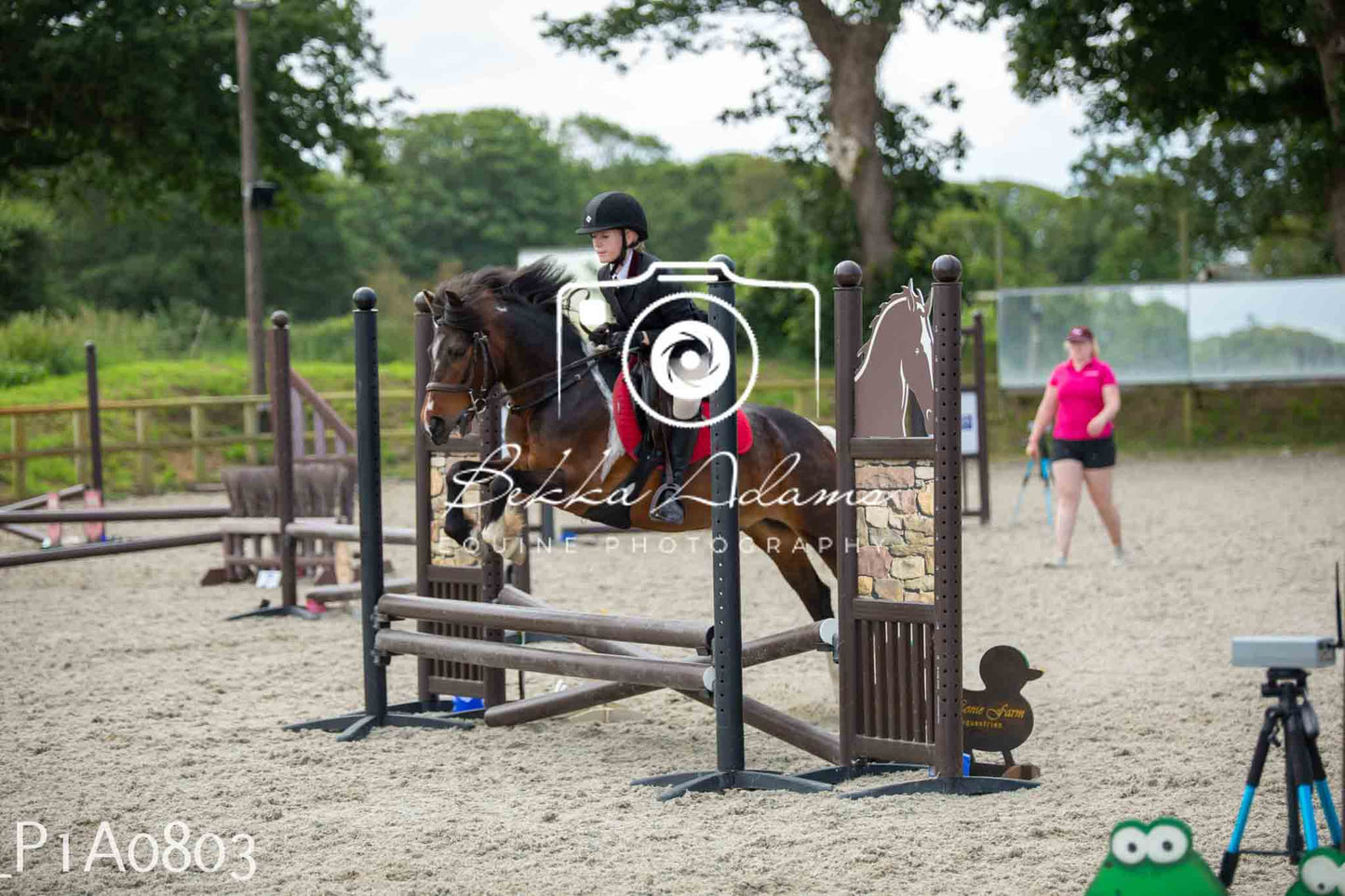 Home Farm Jumping 11th June - Juniors