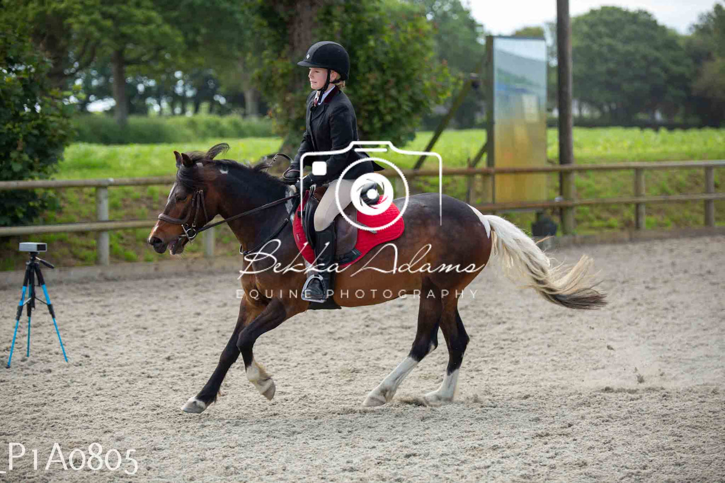 Home Farm Jumping 11th June - Juniors