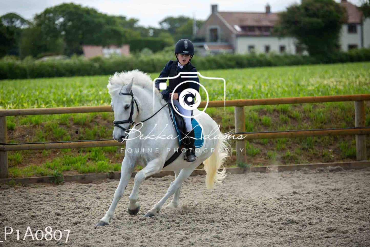 Home Farm Jumping 11th June - Juniors