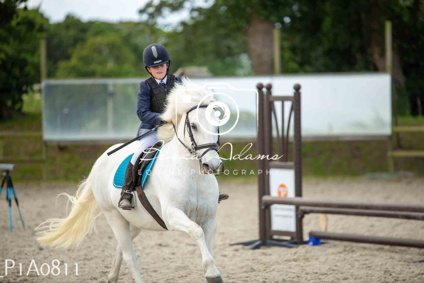 Home Farm Jumping 11th June - Juniors