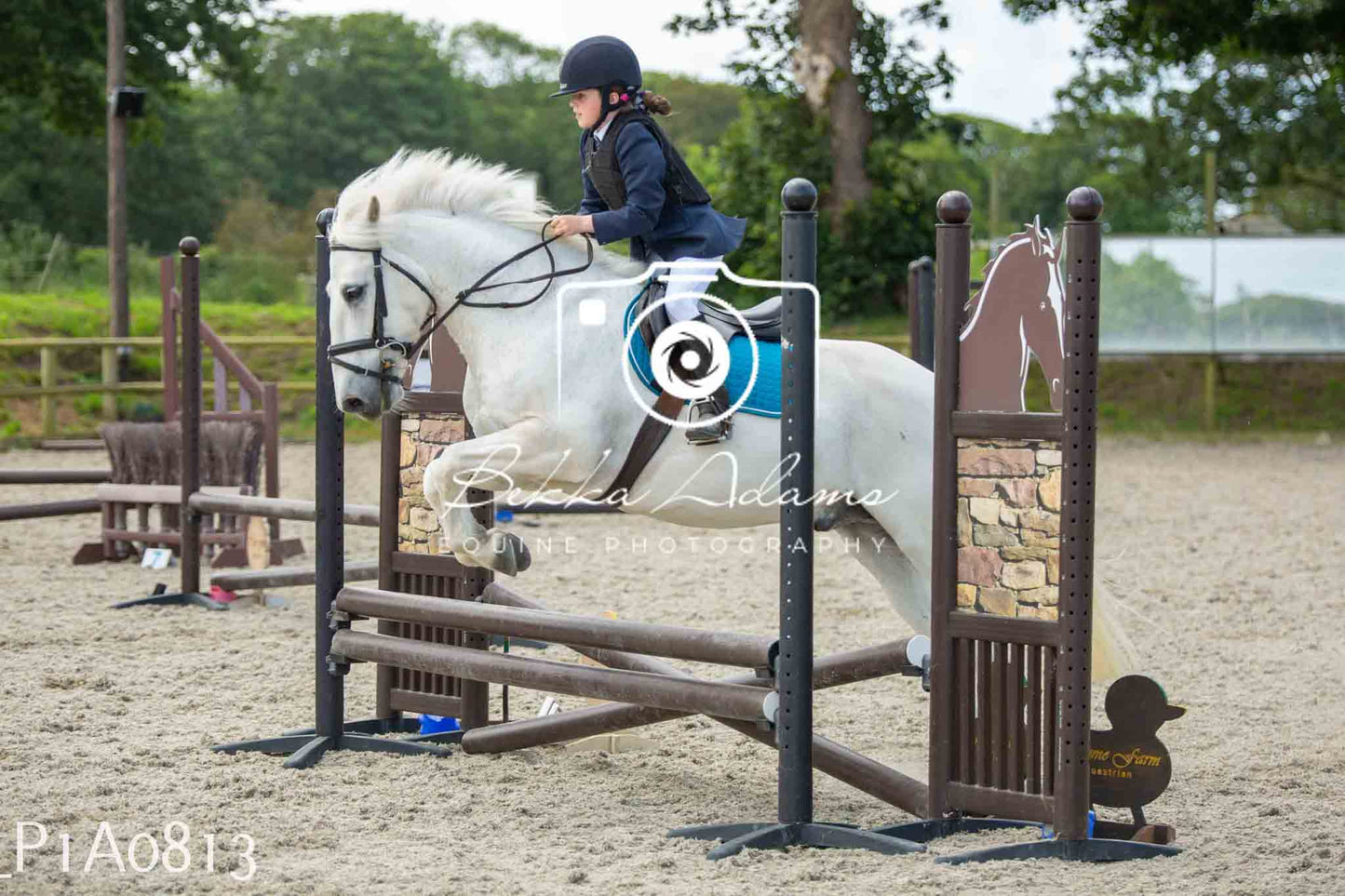 Home Farm Jumping 11th June - Juniors