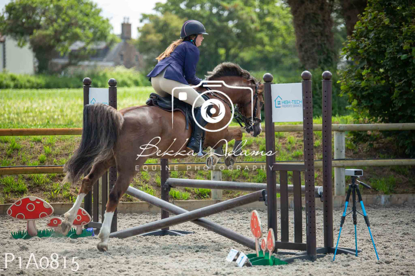Home Farm Jumping 11th June - Juniors
