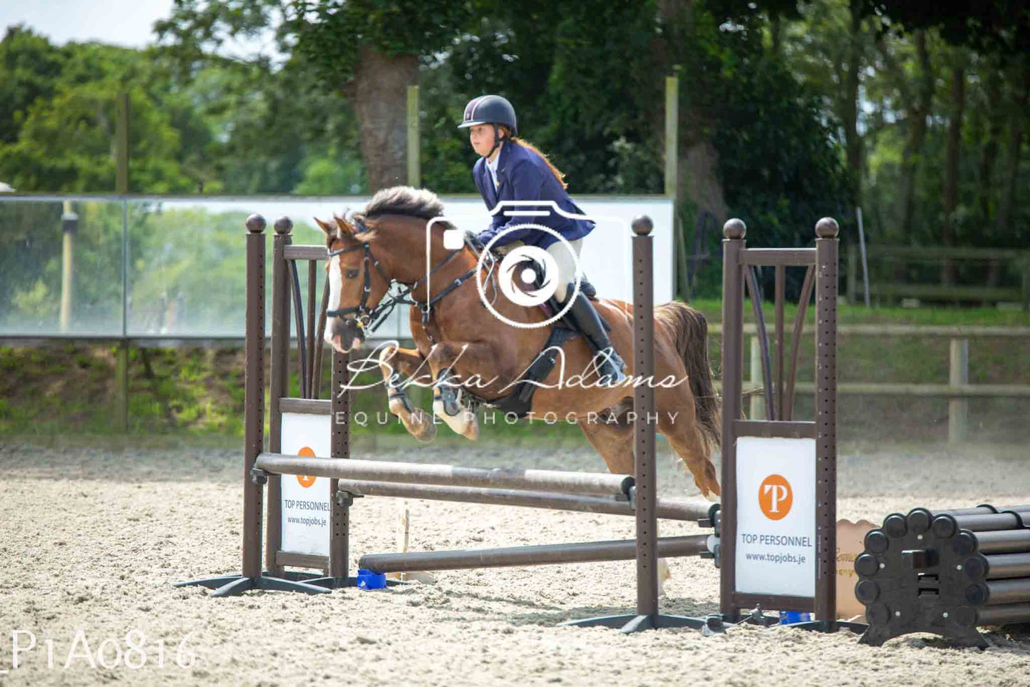 Home Farm Jumping 11th June - Juniors