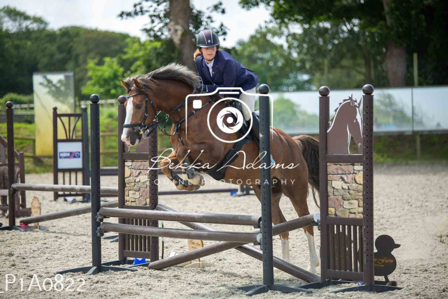 Home Farm Jumping 11th June - Juniors