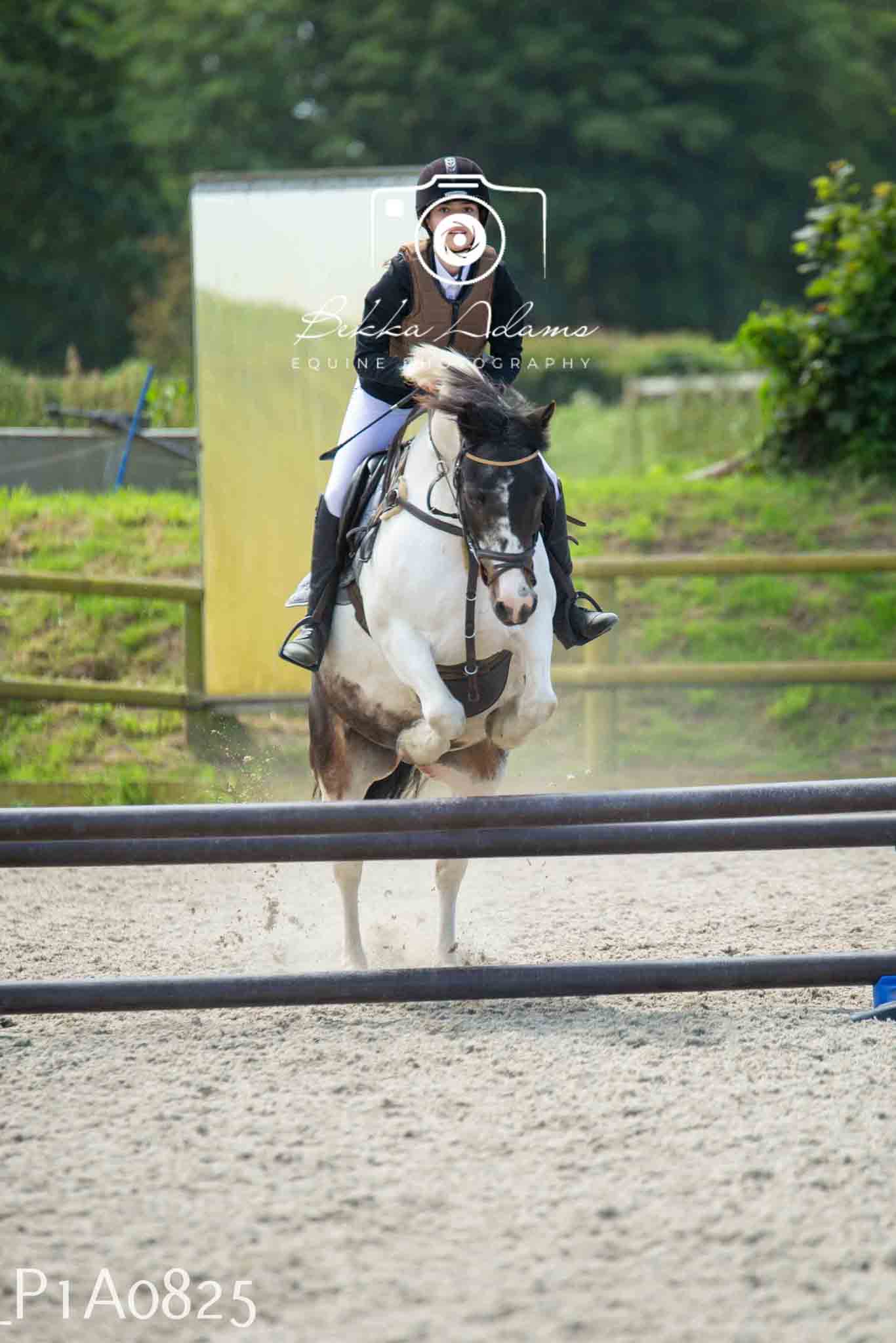 Home Farm Jumping 11th June - Juniors