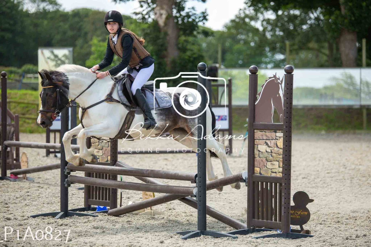 Home Farm Jumping 11th June - Juniors