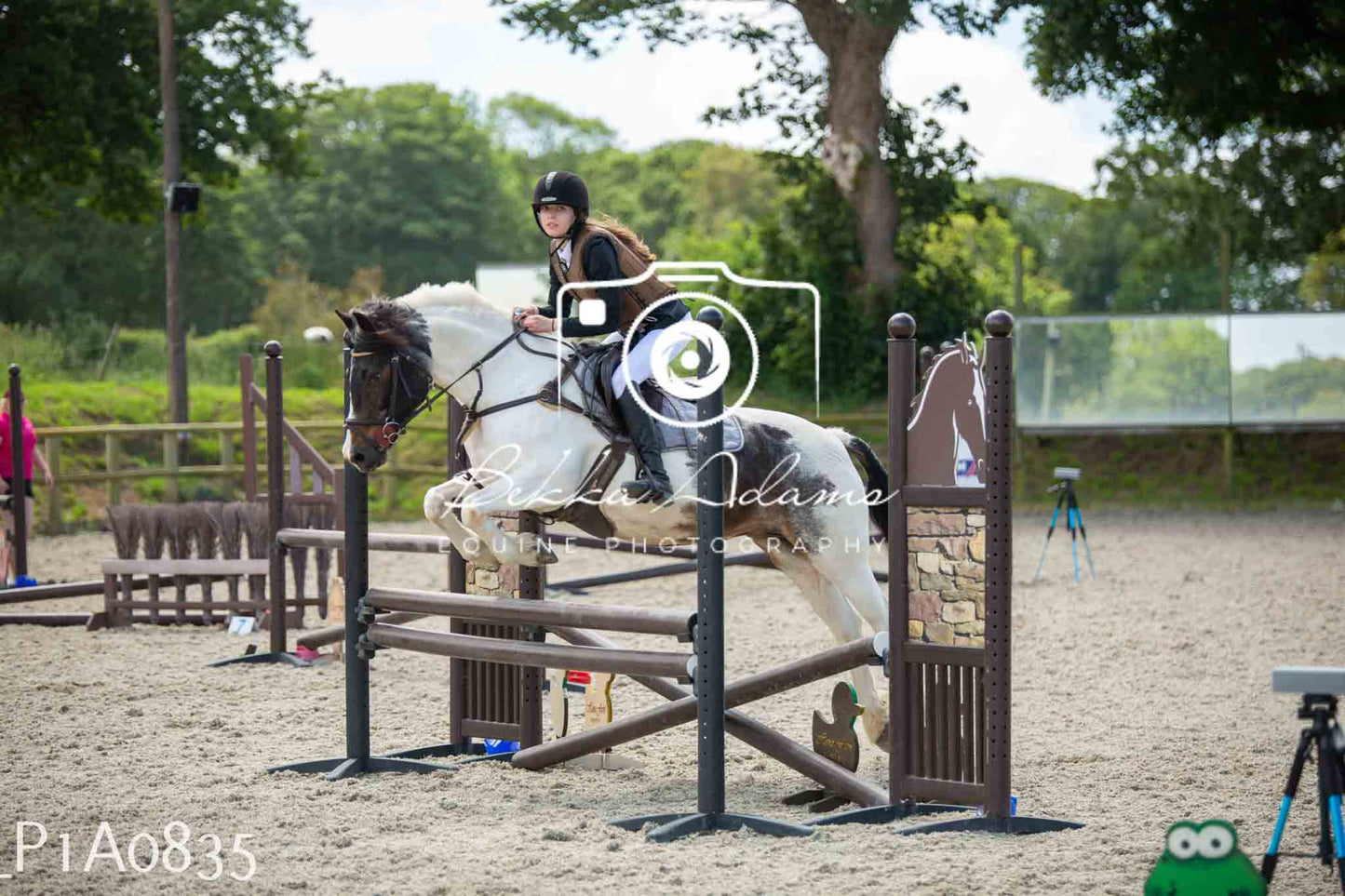 Home Farm Jumping 11th June - Juniors