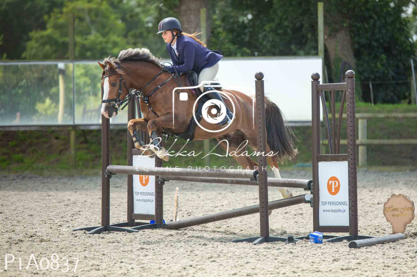 Home Farm Jumping 11th June - Juniors