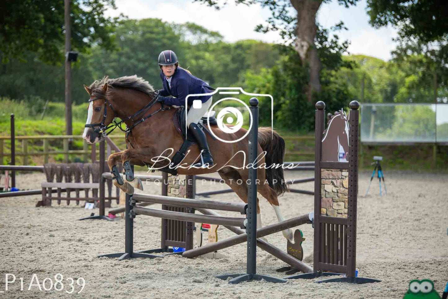Home Farm Jumping 11th June - Juniors