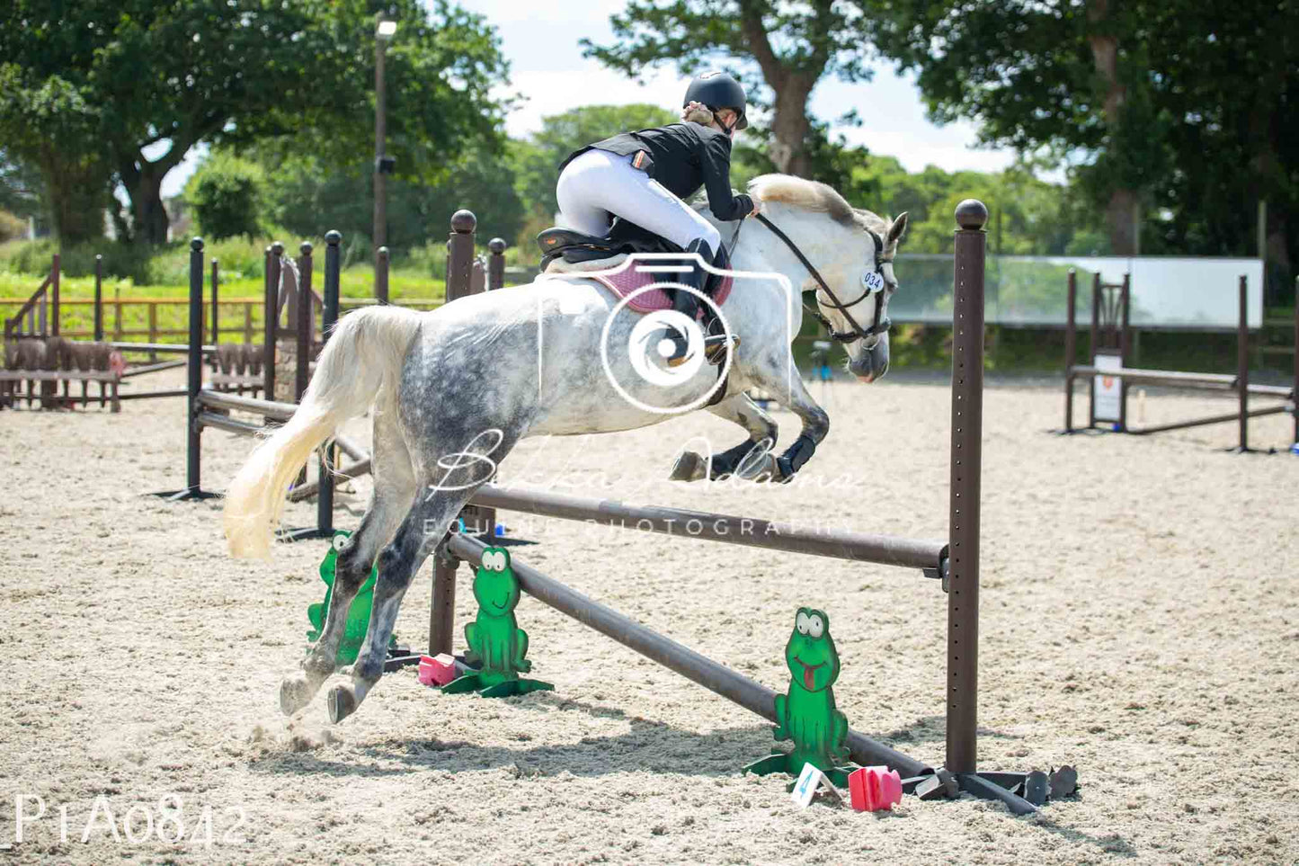 Home Farm Jumping 11th June - Juniors