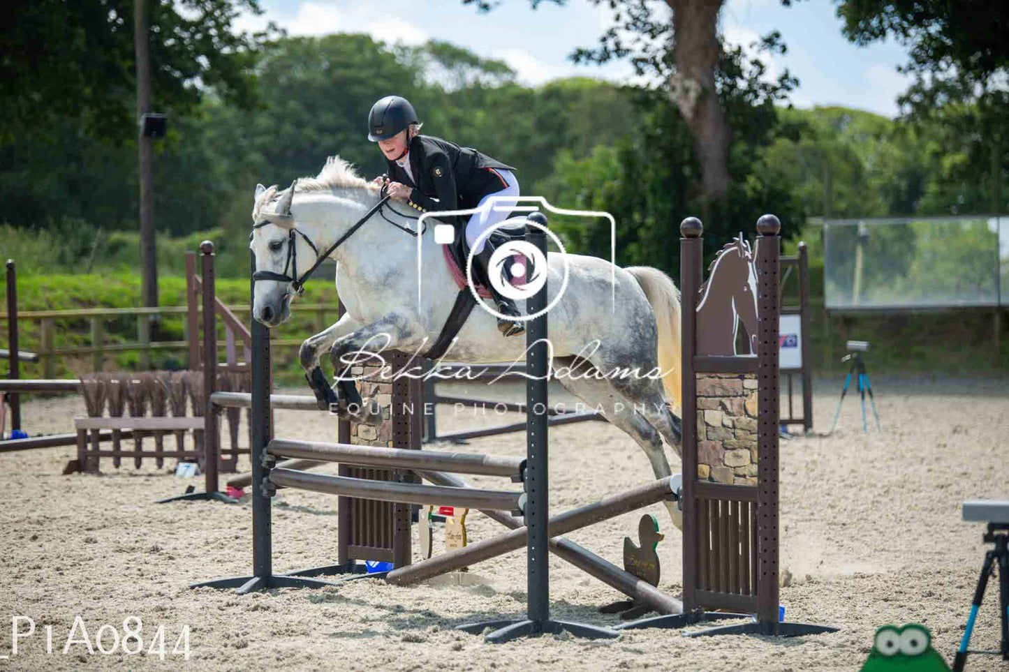 Home Farm Jumping 11th June - Juniors