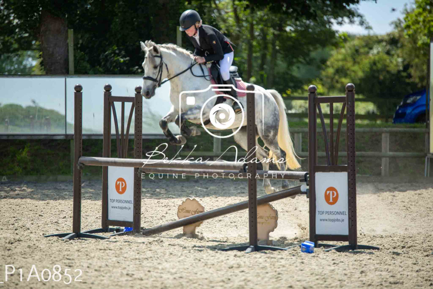 Home Farm Jumping 11th June - Juniors
