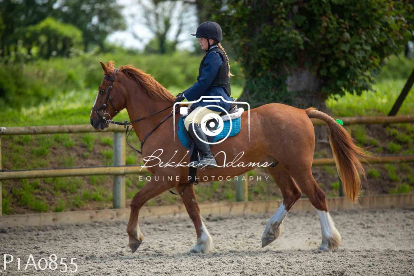 Home Farm Jumping 11th June - Seniors