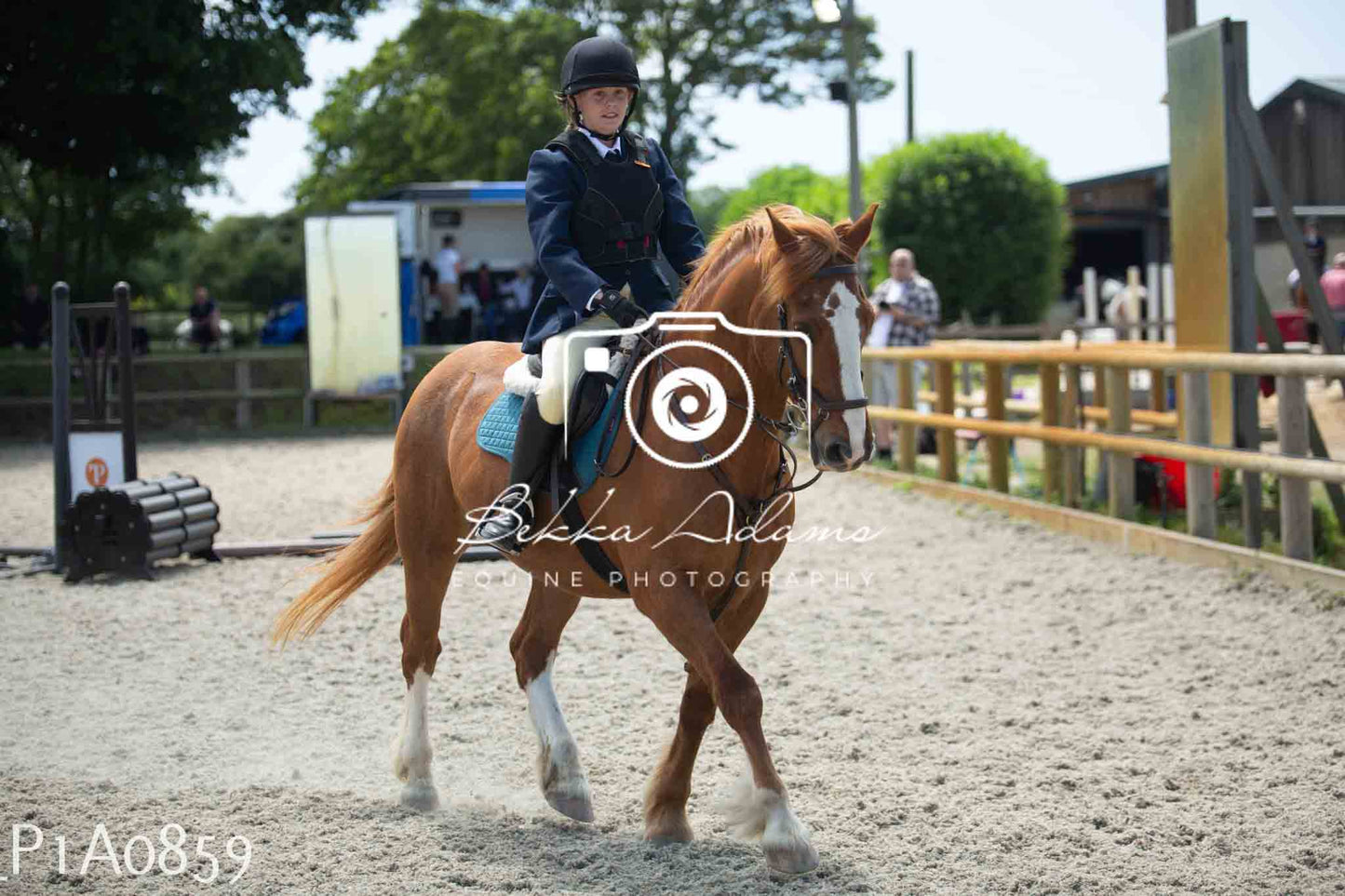 Home Farm Jumping 11th June - Seniors
